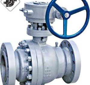 Gear Operated Valve